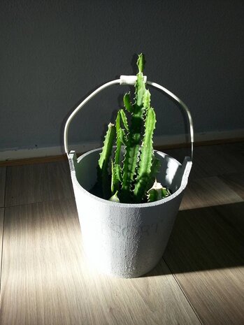 Planten bakken.